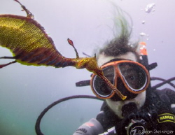 Seadragon Selfie by Sean Steininger 